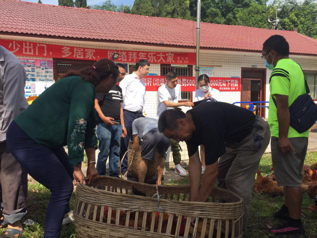 1591752576864829.png 1591752576864829.png