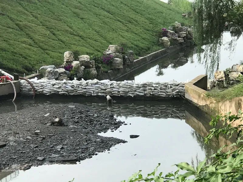 1594285349755683.jpg 8.2.jpg