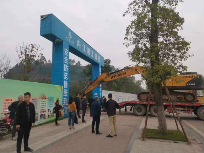 1605659874683346.jpg 7.jpg