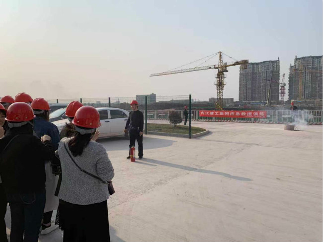 1605687770759917.jpg 10.jpg