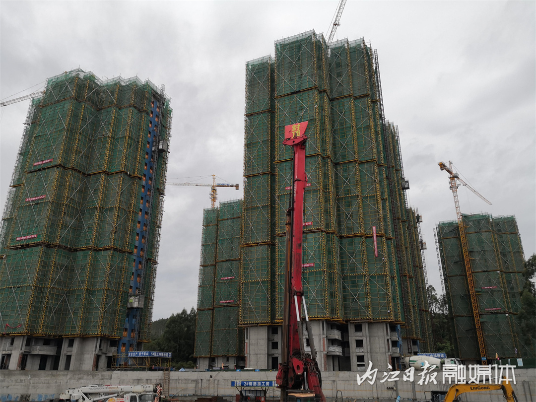 1665278174841401.jpg 3.jpg