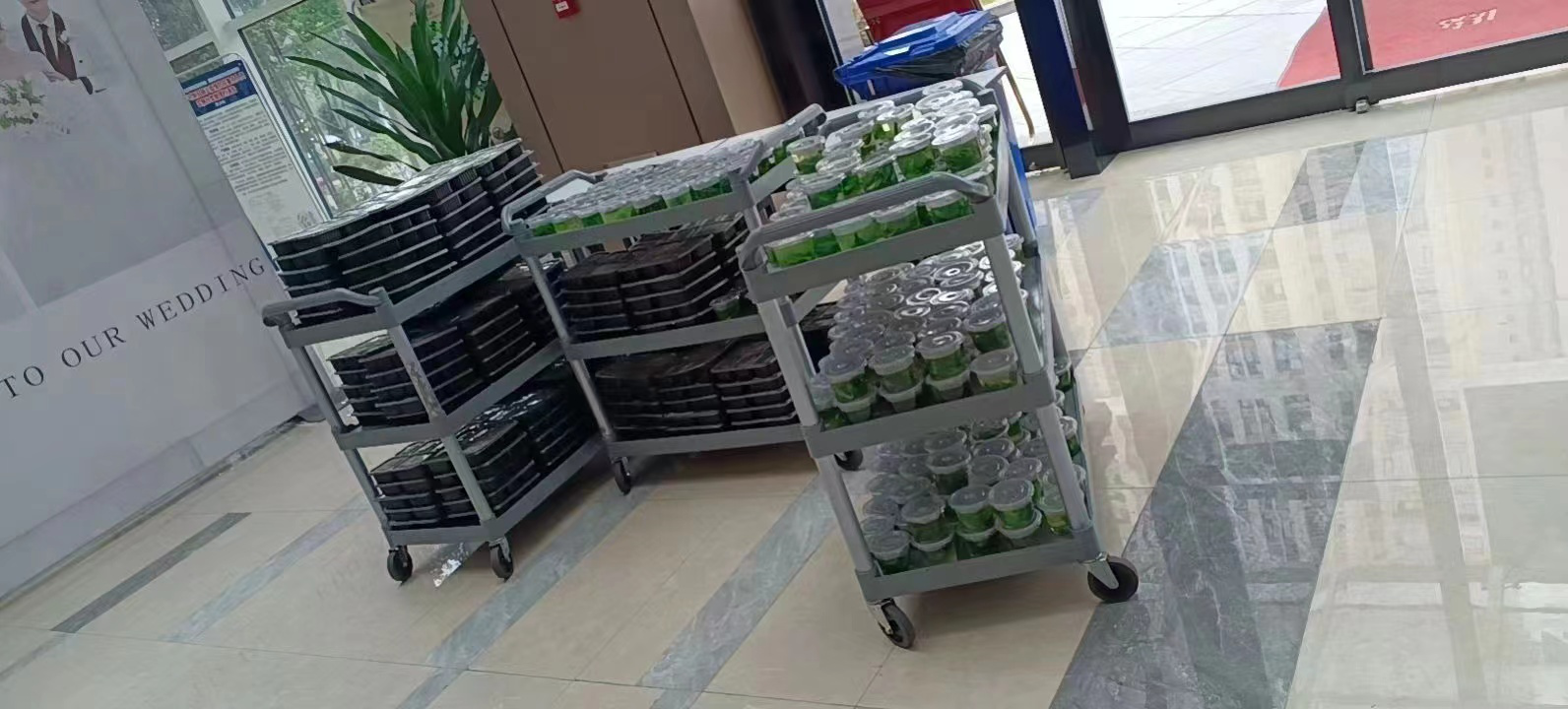 1667180169234324.png 1667180169234324.png