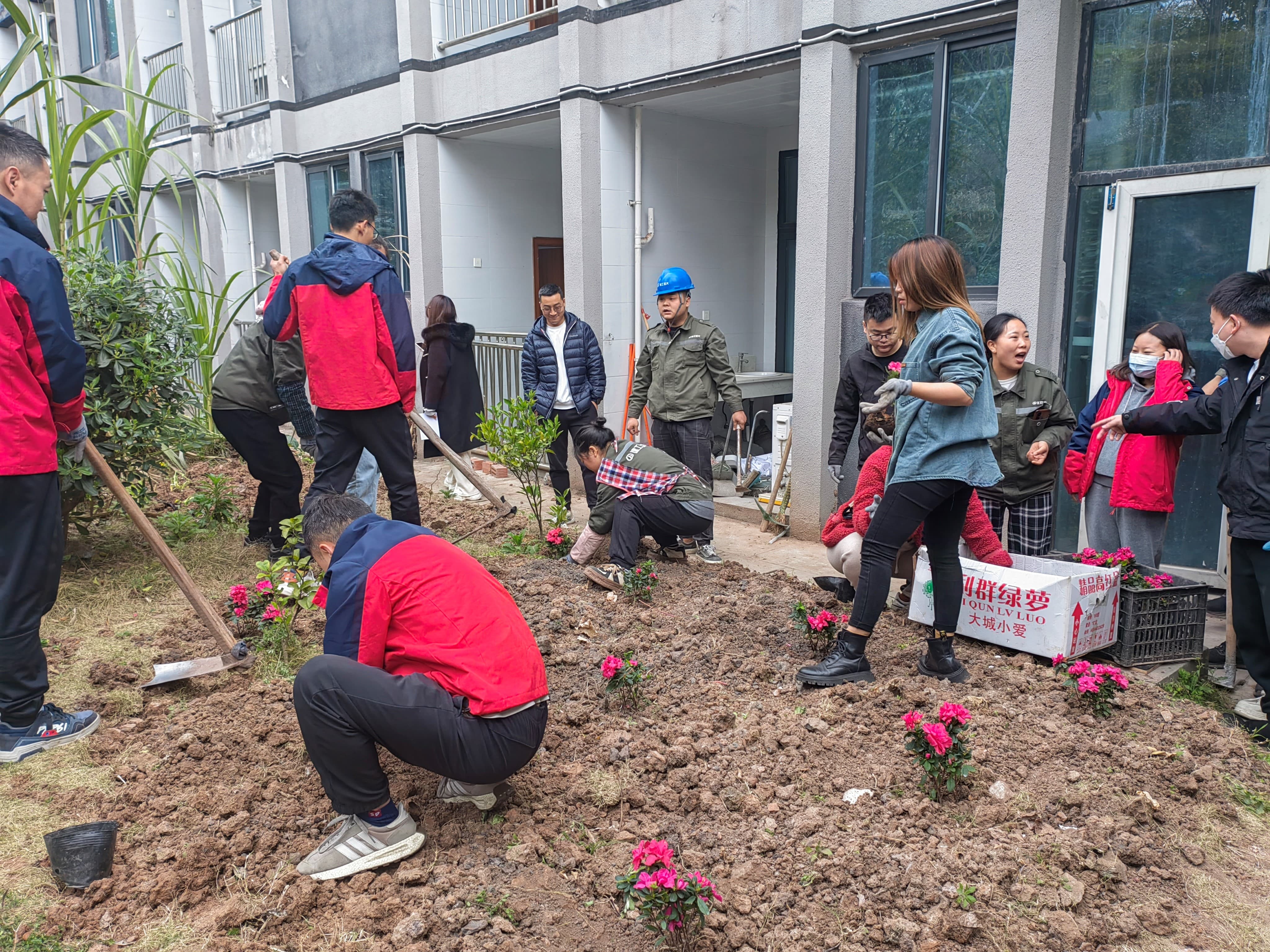 1711006603362884.jpg 1711006603362884.jpg