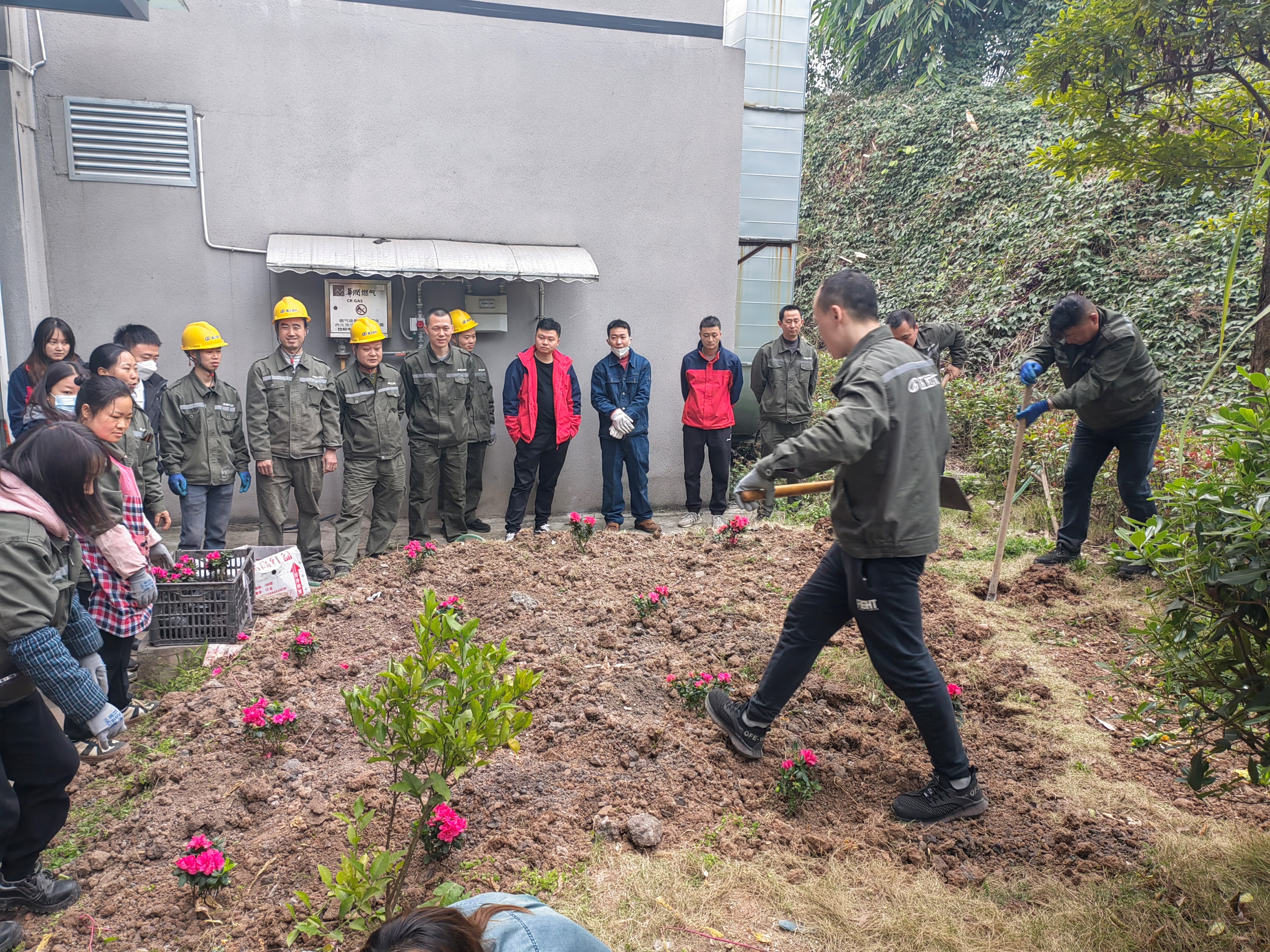 1711006659121431.jpg 1711006659121431.jpg